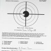 Full Auto Sear