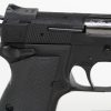 Reising M50