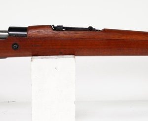 Argentine Mauser Model 1909