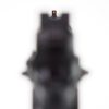 CZ Custom Shadow RDS Optic Ready 9mm **FREE S/H** - Image 4