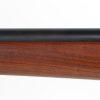 Thompson 1928