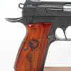 Thompson 1928