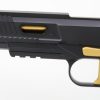 Nighthawk Custom Agent 2 10mm Recon IOS - Image 4