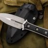 Microtech/Borka Blades 201-10 SBD STW, BLK G10 - Image 5